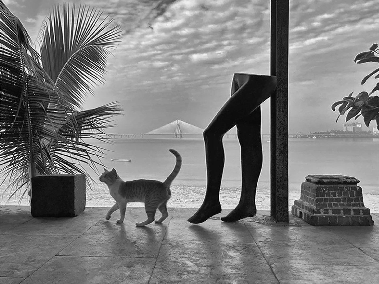Featured photography by Himanshu Mestry, image 2 of 4