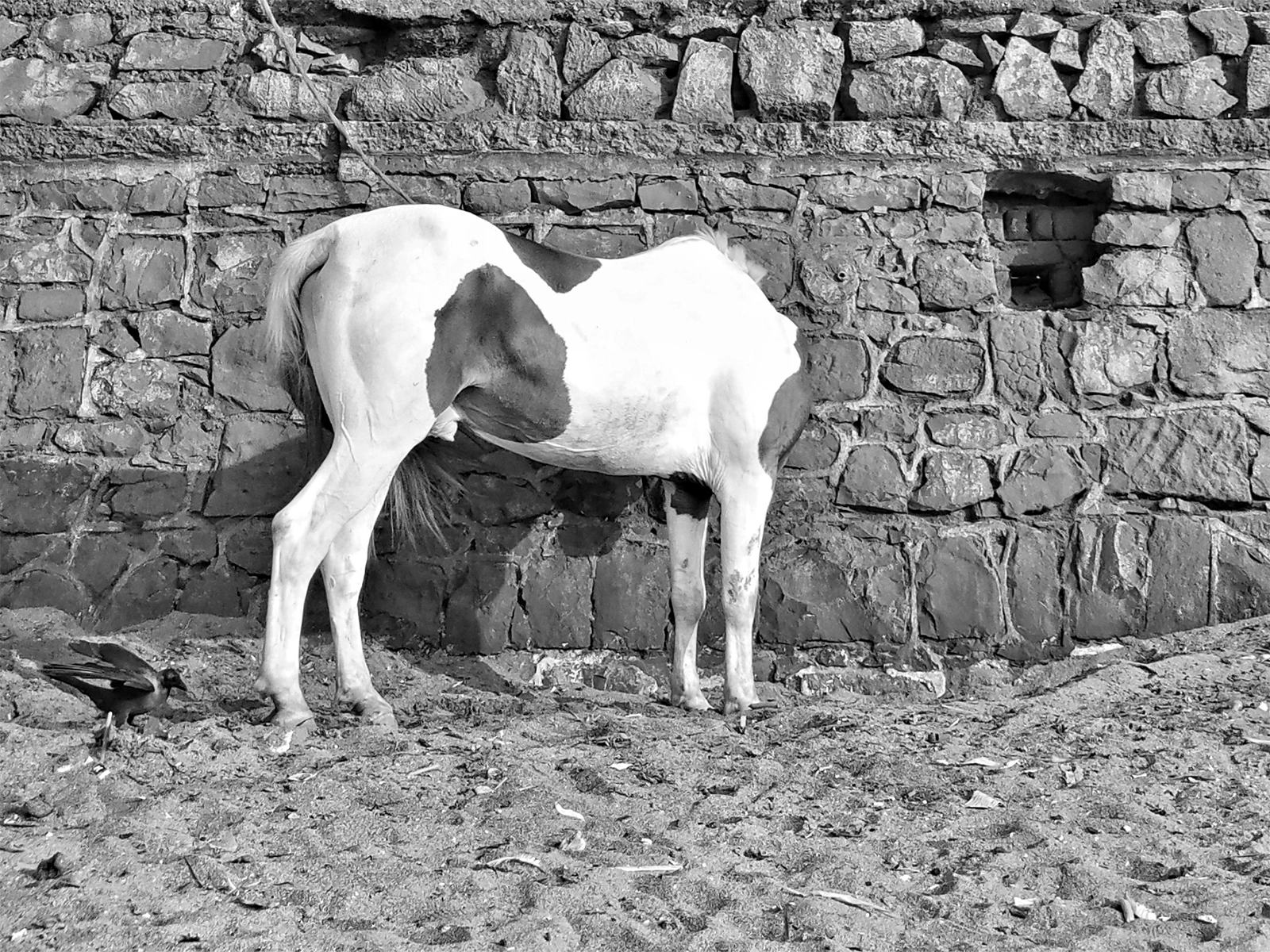 Featured photography by Himanshu Mestry, image 4 of 4